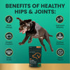 VetriScience Ultimate Strength Healthy Hip & Joint Chews, GlycoFlex Glucosamine, Chondroitin & Green-Lipped Mussel Joint Support Supplement for Dogs, Soothe Joint Discomfort, Duck, 60 Count